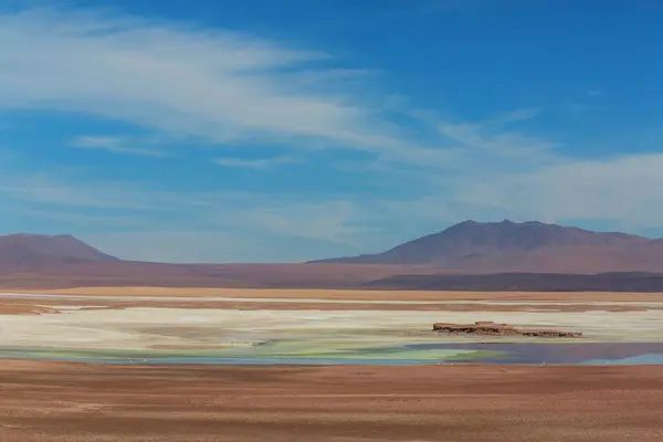 Altiplano Lake Andes Mountains Bolivia South America — Stock Photo, Image