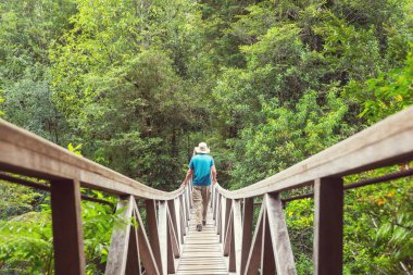 Yeşil ormanda, nehirden geçen tahta köprü.
