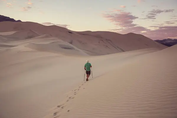 Пішохід Серед Піщаних Дюн Пустелі Ліцензійні Стокові Фото