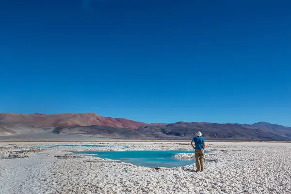 Turizmus Közelében Fantasztikus Laguna Verde Salar Antofalla Észak Argentína Jogdíjmentes Stock Fotók