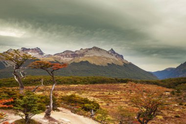 Autumn season in Patagonia mountains, South America, Argentina clipart