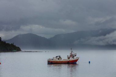 Pasifik Okyanusu kıyısı boyunca Carretera Austral, Patagonya, Şili