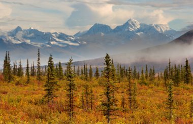 Beautiful high mountains in Alaska, United States. Amazing natural background.