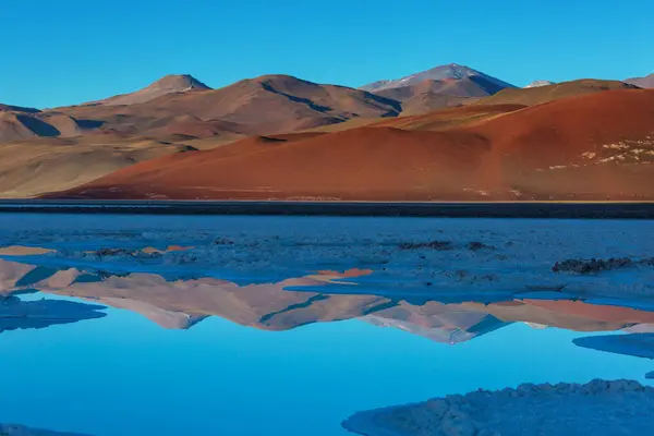 阿根廷北部美丽的风景 美丽而鼓舞人心的自然景观 Salar Antofalla的Laguna Verde — 图库照片