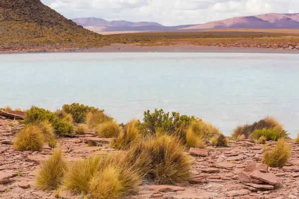 Altiplano See Den Anden Bolivien Südamerika — Stockfoto
