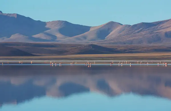 智利北部阿塔卡马沙漠美丽的自然景观 — 图库照片