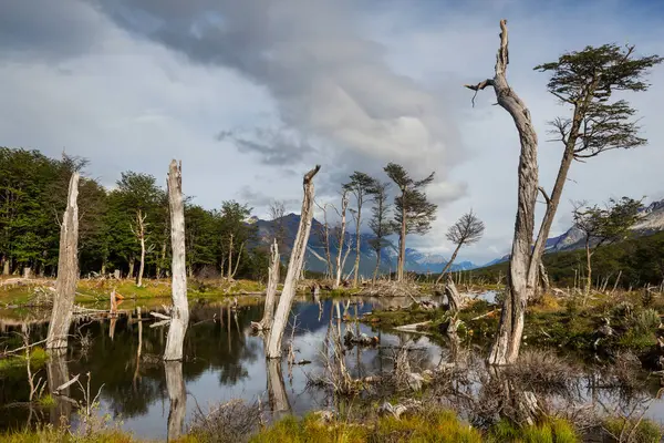Beautiful Mountains Landscape Ushuaia Tierra Del Fuego Argentina Stock Photo