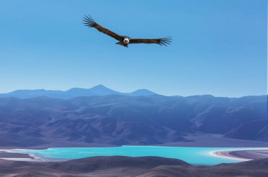 Kuzey Arjantin 'in fantastik manzaraları. Güzel, ilham verici doğal manzaralar..