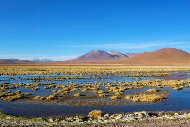 Atacama Çölü, Kuzey Şili 'deki güzel doğal manzaralar.