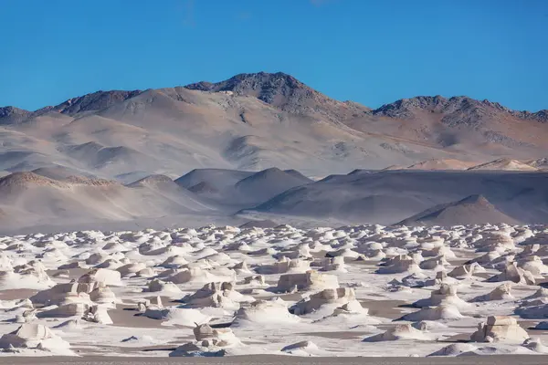 Φανταστικά Τοπία Της Βόρειας Αργεντινής Όμορφα Εμπνευσμένα Φυσικά Τοπία Campo Εικόνα Αρχείου