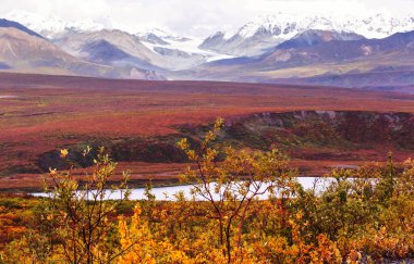 Tundra landscapes above Arctic circle in autumn season. Beautiful natural background.