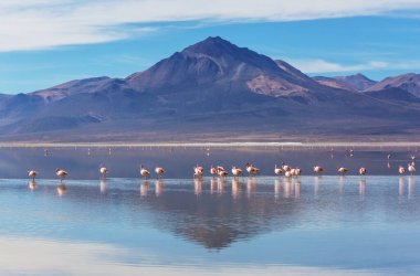 Atacama Çölü, Kuzey Şili 'deki güzel doğal manzaralar.