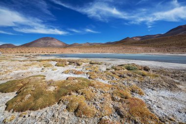 Kuzey Şili 'nin fantastik manzaraları, Atacama Çölü. Güzel, ilham verici doğal manzaralar..