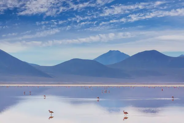 Красивые Природные Ландшафты Пустыни Атакама Севере Чили — стоковое фото