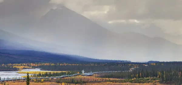 Usa Alaska Dalton Highway Pipeline Tal — Stockfoto
