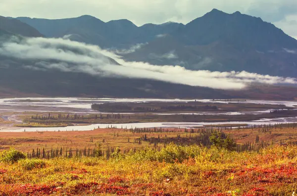 Tundra Landscapes Arctic Circle Autumn Season Beautiful Natural Background Стоковое Изображение