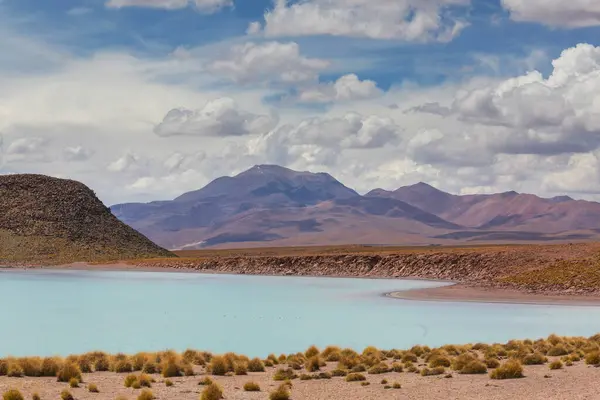 チリ北部のアタカマ砂漠の美しい自然景観 ストックフォト