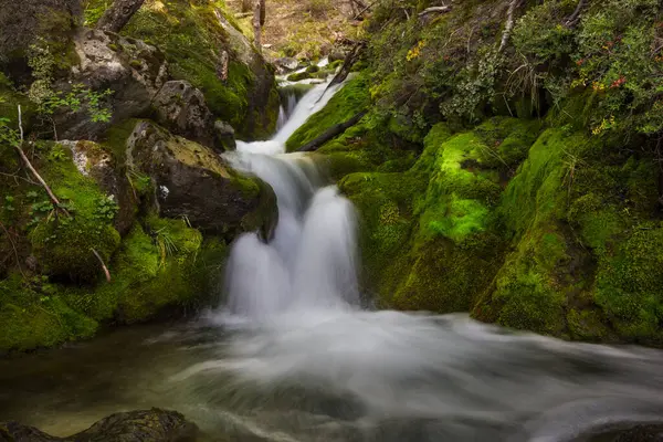 Vízesés Gyönyörű Zöld Erdőben Jogdíjmentes Stock Képek