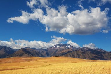 Peru, Güney Amerika 'daki yeşil dağlardaki tarım arazileri