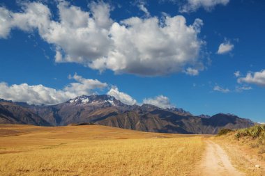 Peru, Güney Amerika 'daki yeşil dağlardaki tarım arazileri
