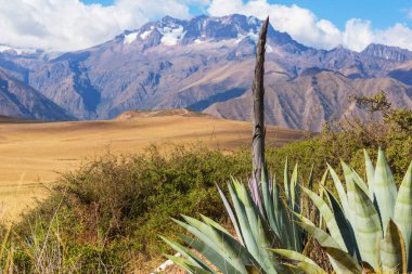 Peru, Güney Amerika 'daki yeşil dağlardaki tarım arazileri
