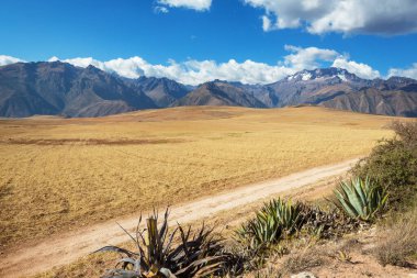 Peru, Güney Amerika 'daki yeşil dağlardaki tarım arazileri