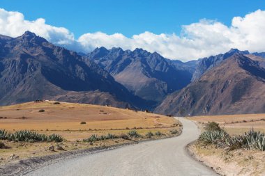 Peru, Güney Amerika 'daki yeşil dağlardaki tarım arazileri