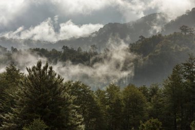 Dağlarda güzel bir sabah manzarası. Gün doğumunda sis.