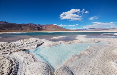 Kuzey Arjantin 'in fantastik manzaraları. Güzel, ilham verici doğal manzaralar. Salar Antofalla 'da Laguna Verde.