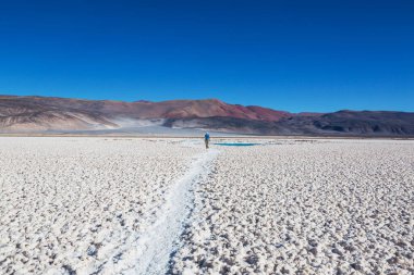 Kuzey Arjantin 'in fantastik manzaraları. Güzel, ilham verici doğal manzaralar. Salar Antofalla 'da Laguna Verde.