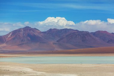 And Dağları 'ndaki Altiplano Gölü, Bolivya, Güney Amerika
