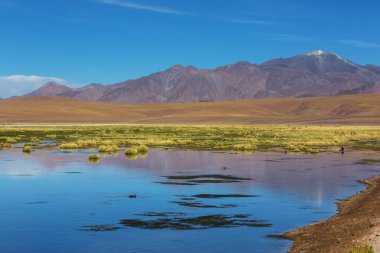 Atacama Çölü, Kuzey Şili 'deki güzel doğal manzaralar.