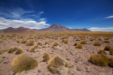 Kuzey Arjantin 'in fantastik manzaraları. Güzel, ilham verici doğal manzaralar..