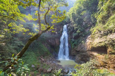 Beautiful waterfall in jungle, Bolivia, South America clipart