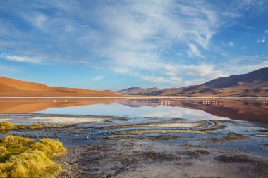 And Dağları 'ndaki Altiplano Gölü, Bolivya, Güney Amerika