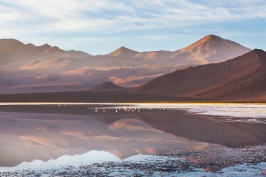 Atacama Çölü, Kuzey Şili 'deki güzel doğal manzaralar.