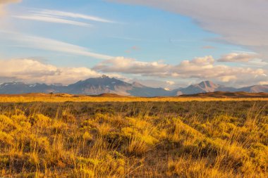 Güney Arjantin 'deki Patagonya manzaraları. Güzel doğal manzaralar..