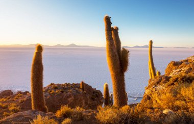 Salar de Uyuni, Bolivya, Güney Amerika 'da alışılmadık terk edilmiş peyzajlar
