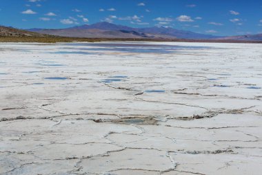 Jujuy Eyaleti, Arjantin 'deki tuzlu çöl.