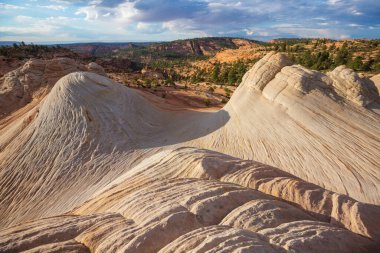 Utah, ABD 'deki Beyaz Kum Taşı.