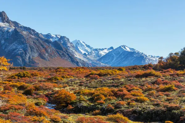 阿根廷南美洲巴塔哥尼亚山区秋季季节 免版税图库照片