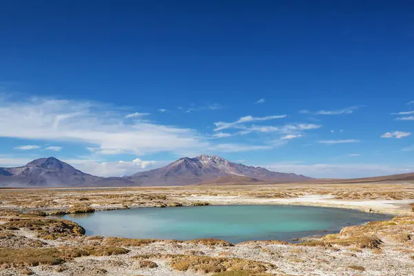 Altiplano Lake Andes Mountains Bolivia South America Стокова Картинка
