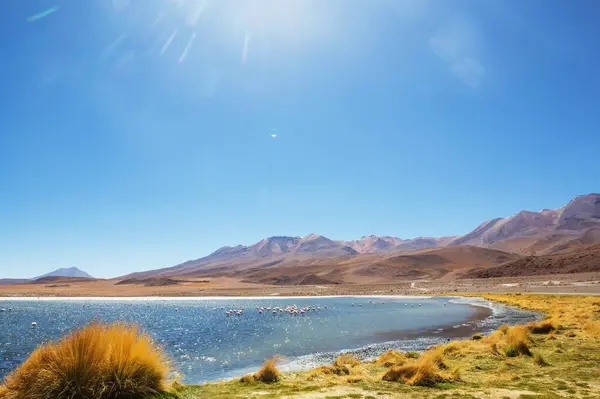 Lago Altiplano Nas Montanhas Dos Andes Bolívia América Sul Imagens De Bancos De Imagens