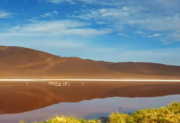 Lago Altiplano Nas Montanhas Dos Andes Bolívia América Sul Fotos De Bancos De Imagens Sem Royalties