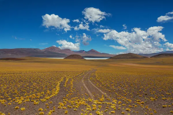 Фантастичні Пейзажі Північної Аргентини Чудові Природні Краєвиди Стокове Зображення