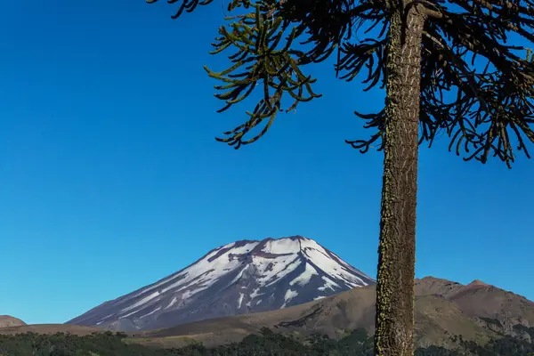 Vulcões Paisagens Pôr Sol Chile América Sul Fotos De Bancos De Imagens
