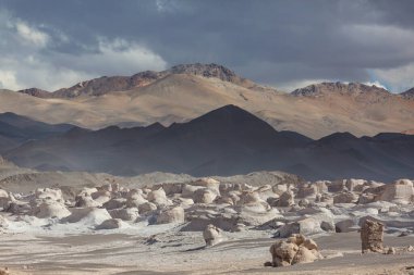 Kuzey Arjantin 'in fantastik manzaraları. Güzel, ilham verici doğal manzaralar. Campo de Piedra Pomez Antofagasta de la Sierra yakınlarında, Puna.