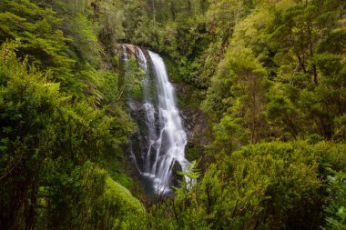 Şili 'de güzel bir şelale, Güney Amerika.