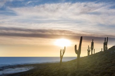 Salar de Uyuni, Bolivya, Güney Amerika 'da alışılmadık terk edilmiş peyzajlar