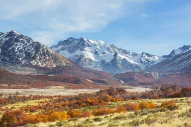 Perito Moreno Ulusal Parkı, Arjantin, Güney Amerika. Güzel renkli sonbahar mevsimi.